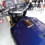 IMG_8250.jpeg