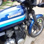 IMG_8248.jpeg