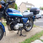 IMG_8247.jpeg