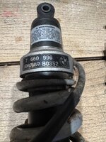 IMG_6096.jpeg