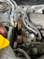 IMG_0619.jpeg