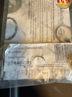 IMG_3185.jpeg