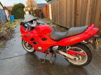 IMG_2498.jpeg