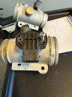IMG_3203.jpeg