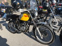 IMG_2775.jpeg