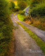 boreen road.jpg