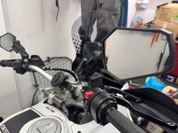 IMG_1101.jpeg