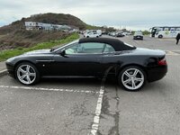 IMG_1011.jpeg