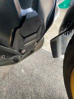 IMG_3673.jpeg