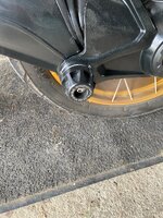 IMG_3675.jpeg