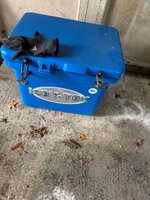 IMG_2662.jpeg
