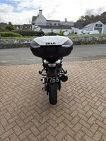 IMG_2834.jpeg