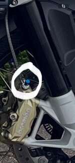 IMG_0527.jpeg