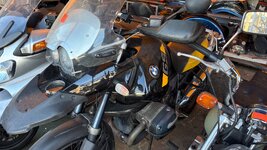 IMG_8286.jpeg