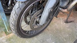 IMG_8288.jpeg