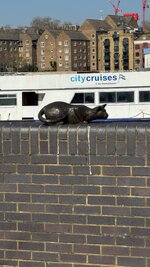 IMG_7767.jpeg IMG_7767.jpeg