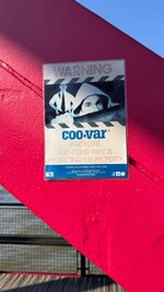 IMG_7809.jpeg IMG_7809.jpeg