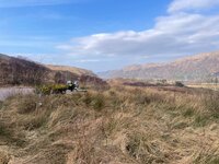 IMG_1953.jpeg
