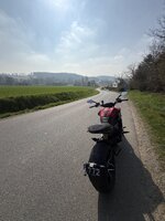 IMG_2936.jpeg IMG_2936.jpeg