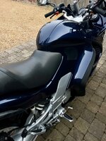 IMG_2752.jpeg