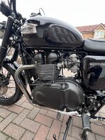 IMG_3769.jpeg