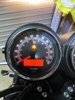 IMG_3749.jpeg