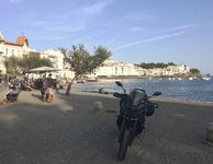 IMG_2969.jpeg IMG_2969.jpeg