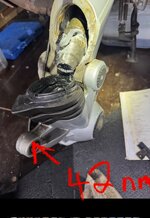 IMG_8455.jpeg