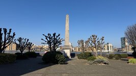IMG_7822.jpeg