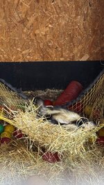 IMG_7850.jpeg