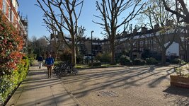 IMG_7862.jpeg