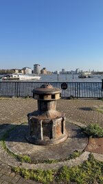 IMG_7867.jpeg IMG_7867.jpeg