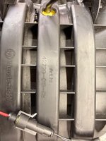 IMG_3334.jpeg