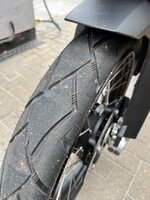 IMG_3442.jpeg IMG_3442.jpeg