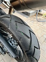 IMG_3441.jpeg IMG_3441.jpeg