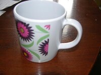 DSCN1916 MUG.JPG