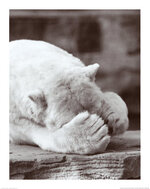 R744~Barely-Hiding-Posters.jpg