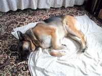 Sleeping Beauty.jpg