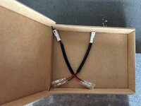 IMG_1410.jpeg