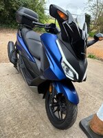 IMG_3389.jpeg