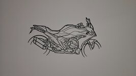 20260327_190641.jpg