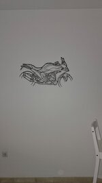 20260327_191156.jpg