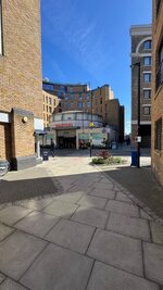 IMG_7915.jpeg IMG_7915.jpeg