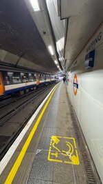 IMG_7919.jpeg IMG_7919.jpeg