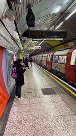 IMG_7924.jpeg IMG_7924.jpeg