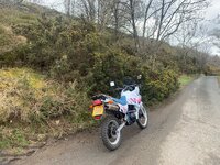 IMG_4073.jpeg IMG_4073.jpeg