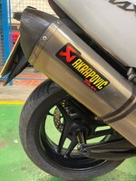 IMG_6556.jpeg