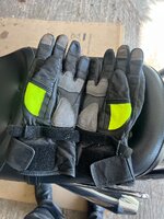 IMG_2436.jpeg