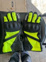 IMG_2437.jpeg