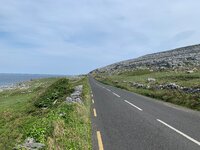 IMG_8558.jpeg